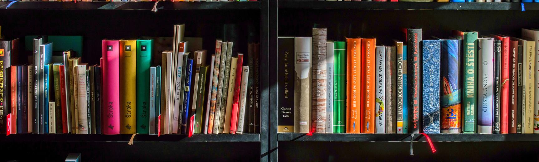 Colourful books on a bookshelf