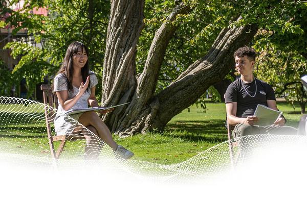 Students work outside in a park