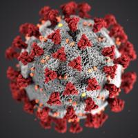 A coronavirus illustration