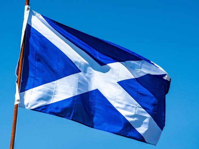 Image of the Scottish flag