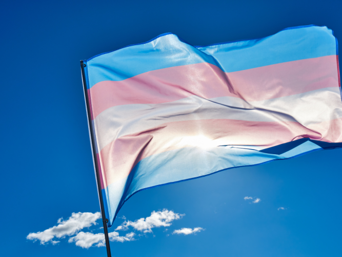 Trans pride flag in front of a blue sky