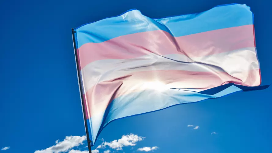 Trans pride flag in front of a blue sky