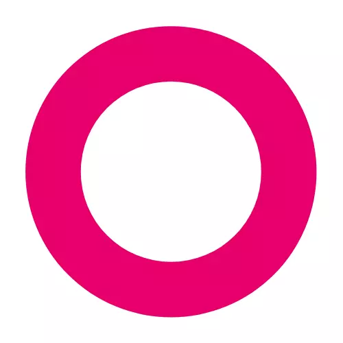 Pie chart showing 100%