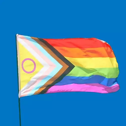 LGBTQ pride progress flag