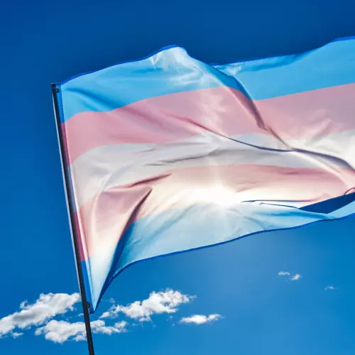 Trans pride flag in front of a blue sky